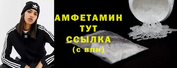 индика Гусь-Хрустальный